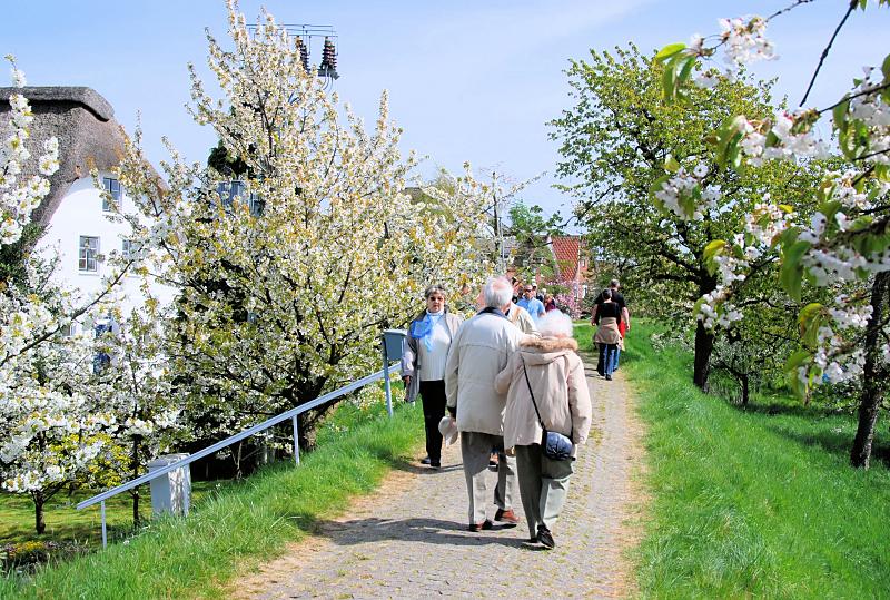 2700_2296 Spaziergänger auf dem Deich zur Obstblüte im Alten Land. | Fruehlingsfotos aus der Hansestadt Hamburg; Vol. 2
